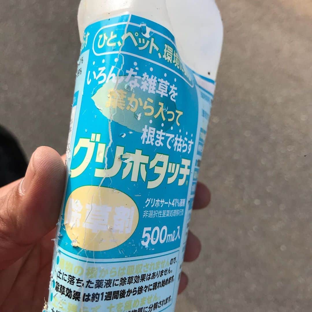 MOOMINのインスタグラム：「雑草だけ根まで枯らす、とか書いてるけど そんなわけないじゃん 絶対他の所にも悪影響  マジで使わないでほしい しかも容器捨てるなんて下衆の極み  #除草剤反対 #使うな #モラルを疑う #珊瑚にも影響出てるよ #がっかり」