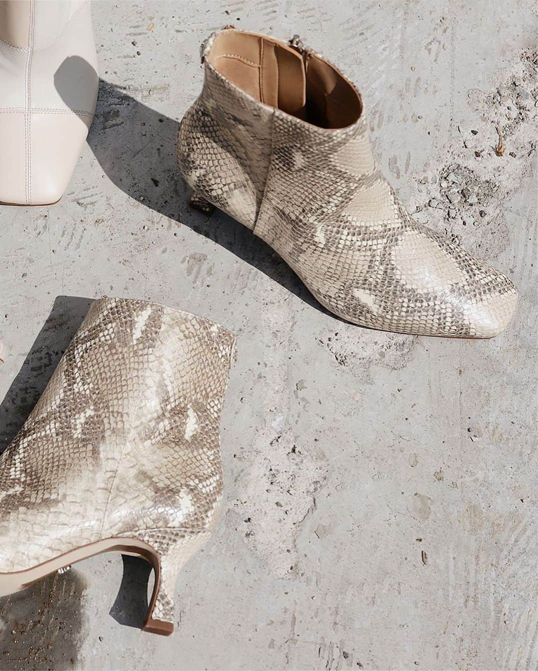 サムエデルマンさんのインスタグラム写真 - (サムエデルマンInstagram)「Meet THE LIZZO Tap our story for a first look into inspiration behind the Pre Fall Collection.   #SamEdelman #PreFall2020 #ForcesOfNature」9月15日 8時08分 - sam_edelman