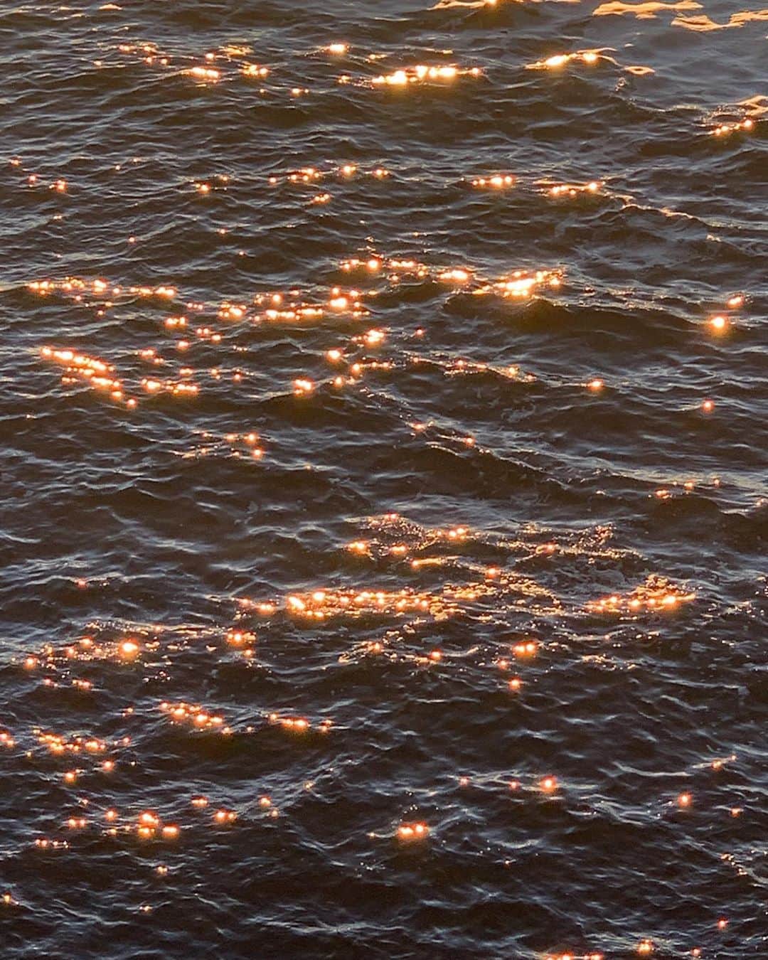 フェリシティー・パルマティアーのインスタグラム：「Indian Ocean afternoon glow ✨」
