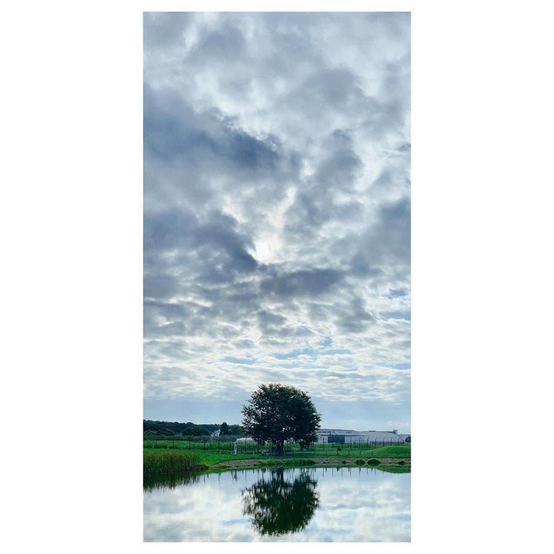 二宮愛のインスタグラム：「2020/09/15 #goodmorning  言葉通り、良い朝を迎えられた… 感謝。気持ち良い心でいられる事に、そして貴方に、感謝。 ________________ #instagood #instalike #instaphoto #photography #scenery #sceneryphotography #green #blueingreen #pond #morning #appriciationpost」