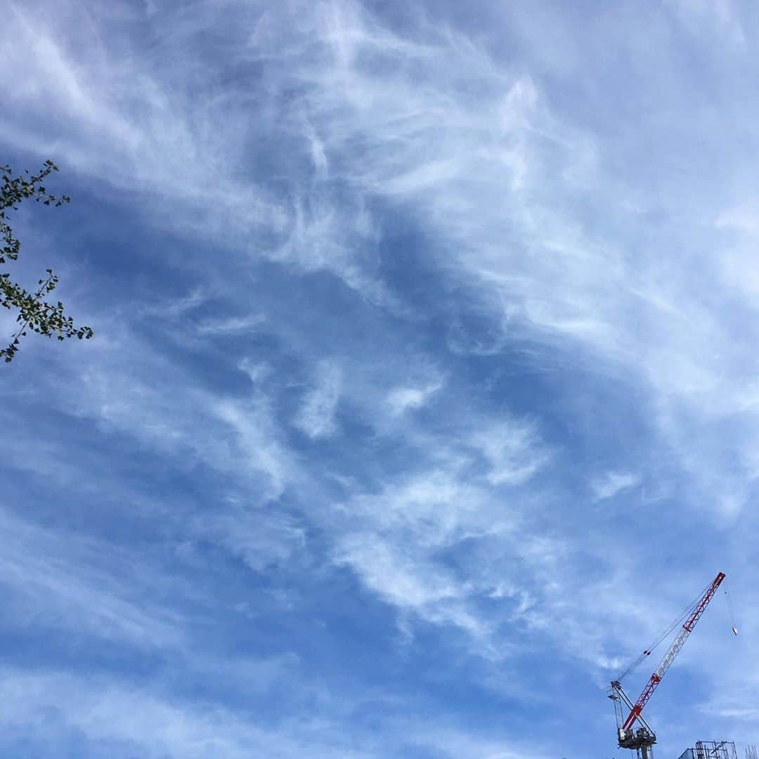 平野由実のインスタグラム：「ぼけーーーーーっと空を眺めていたくなる秋空。 涼しくなって、朝が気持ちいい。 外に出たくなる季節。  #空 #秋空 #☁️ #曇り空 #sky」