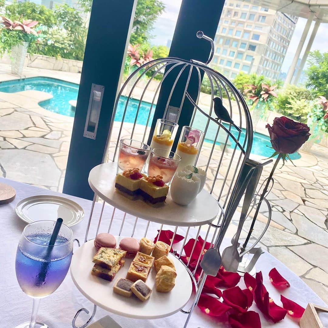 のインスタグラム：「この前、渋谷明治通り沿いcocotiの最上階にある @legiantokyo でランチしてきました🌹 高級感と可愛さ溢れていてとってもオシャレなお店なので女子は喜ぶかも💓 フラワープレート可愛いすぎるので誕生日や記念日のお祝いにオススメだよ◎  #legiantokyo #レギャン東京 #フラワープレート #誕生日プレート #記念日 #お祝い#ランチ #渋谷カフェ#アフターヌーンティー #afternoontea #渋谷ランチ」