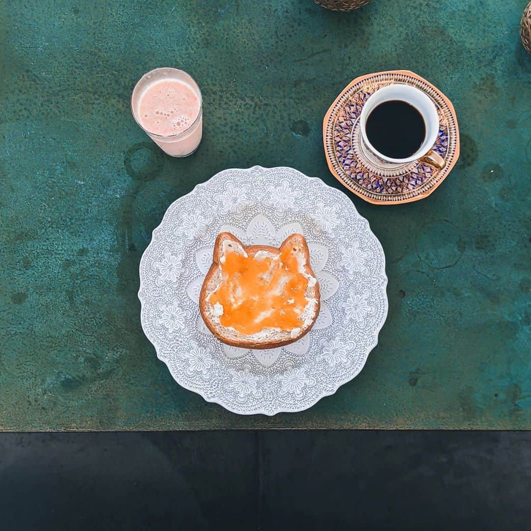 鈴木淳子さんのインスタグラム写真 - (鈴木淳子Instagram)「😻Good Morning my kitty☕️ 1日の始まりは猫にあり。 . オフィスの近くのねこねこ食パン ついに買ってしまいました。 . . #ねこねこ食パン #breakfast #catlover」9月15日 9時40分 - junkosuzuki