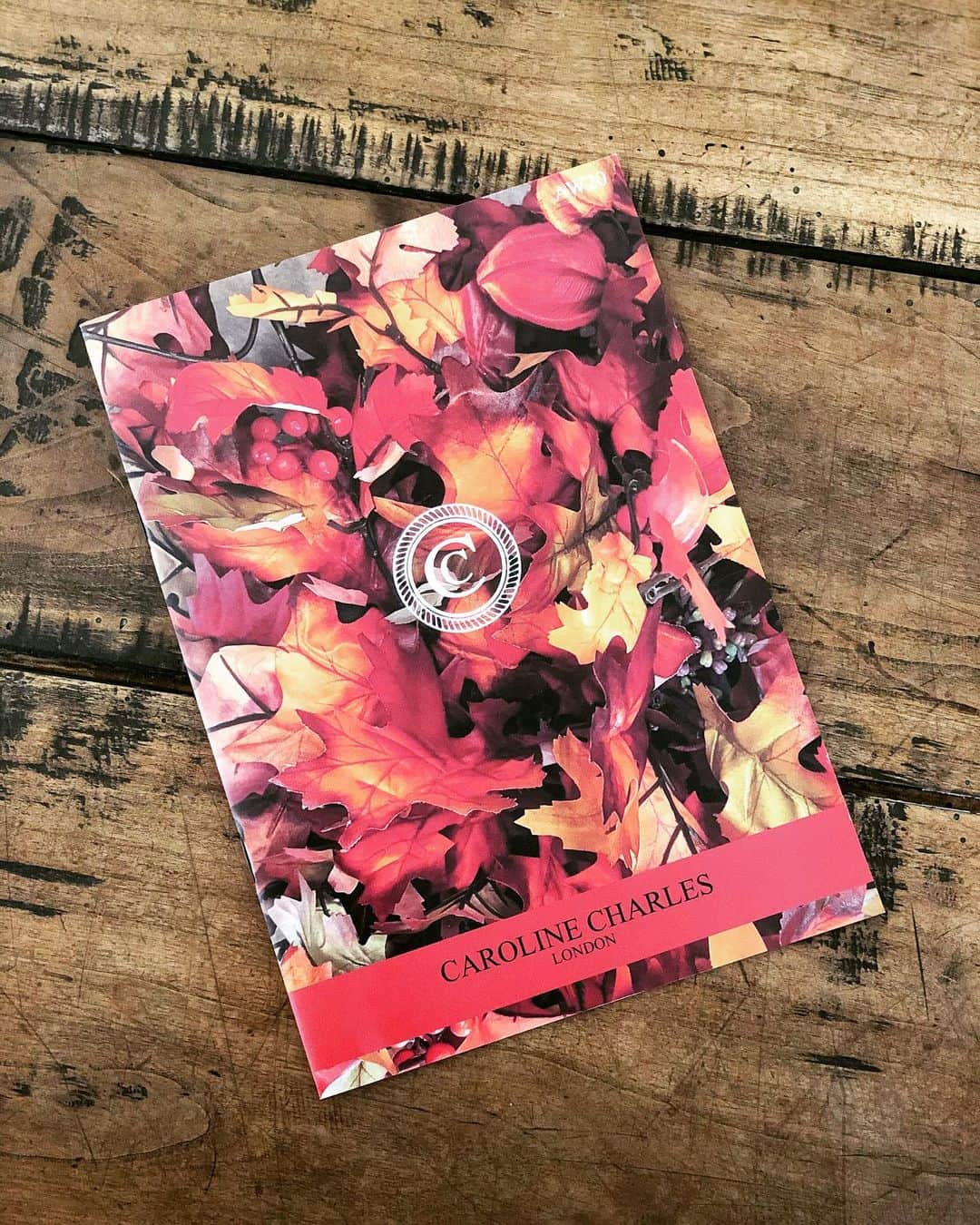 キャロライン チャールズのインスタグラム：「Our AW20 brochure has arrived! Browse our full Autumn Winter Collection 🍂🍁  #aw20 #autumnwinter #autumn #autumnwinter2020 #fashion #brochure #fashionstyle #british #britishfashion #britishdesigner #design #luxuryfashion #newcollection #lookbook #newarrivals #autumncollection」