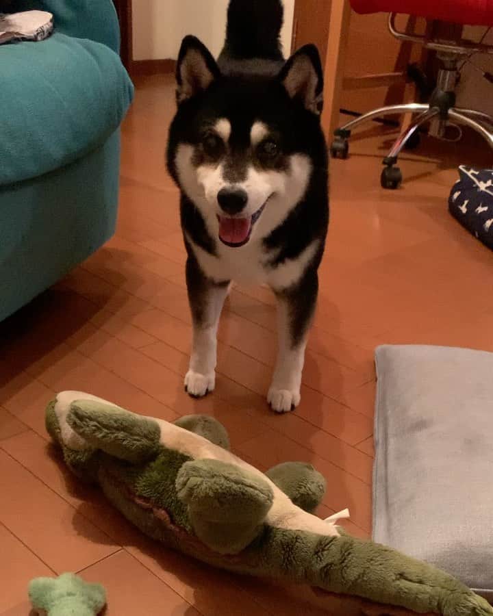 くろのインスタグラム