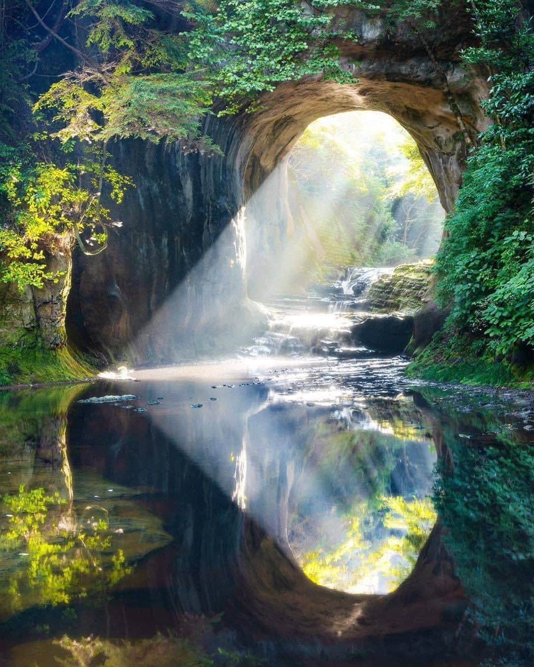 旅行メディア・じゃらん〈公式〉さんのインスタグラム写真 - (旅行メディア・じゃらん〈公式〉Instagram)「#亀岩の洞窟 #濃溝の滝 千葉県君津市を代表する観光名所「濃溝の滝（亀岩の洞窟）」。 洞窟の中に差し込む日の光が、スポットライトのように岩肌と川面を照らす幻想的な風景は、その美しさにため息が出るほど。 光の反射でハートに見えるのは、春と秋の一部の期間のみ。 . . ━━━━━━━━━━━━━━━ 📍 千葉県「亀岩の洞窟・濃溝の滝」 📷 photo by @yuya_5dmark4 ━━━━━━━━━━━━━━━ 📎 【 #じゃらんおすすめ_関東 】 おでかけの参考に、ピックアップしたお写真をエリア別でまとめました！ ━━━━━━━━━━━━━━━ . . #jalan_travel　をつけていただいた中からpick upしました🔍 素敵なお写真をありがとうございました😍 . . ☑ 新型コロナウイルス感染症拡大防止の観点から、各自治体により自粛要請等が行われている可能性があります。お出かけの際は、お住まいやお出かけされる都道府県の要請をご確認の上、感染拡大の防止に充分ご配慮いただくようお願いいたします。また、日々状況が変化しておりますので、事前に各施設の最新情報をご確認下さい。 ☑ #jalan_travel をつけて、ぜひ今までの旅行先の思い出写真を投稿してください。このアカウントでご紹介させていただきます。(じゃらんニュースでも紹介される可能性があります） . . . . . . #千葉 #房総 #洞窟 #関東 #じゃらん #観光 #観光地 #観光スポット #旅行 #旅行好きな人と繋がりたい #旅行好き #写真好きな人と繋がりたい #ファインダー越しの私の世界 #Japan #travel #travellers #trip #jalan #japantravelphoto #japantrip #japantravel #jalan_green」9月15日 20時00分 - jalan_net