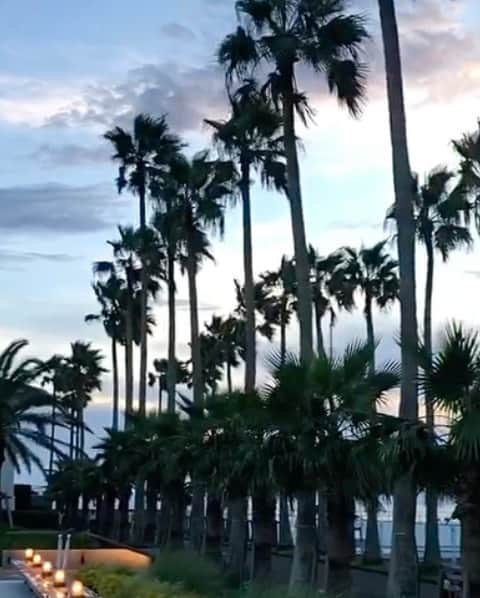 山崎みどりのグルメインスタ