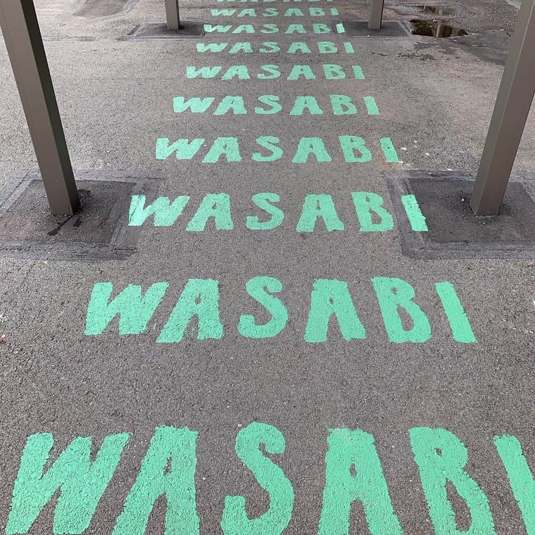 石野卓球さんのインスタグラム写真 - (石野卓球Instagram)「Izu Wasabi Museum」9月15日 20時30分 - takkyuishino