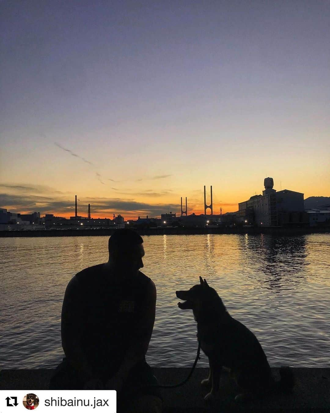 ラファエレ・ティモシーさんのインスタグラム写真 - (ラファエレ・ティモシーInstagram)「🌅 🐕 @shibainu.jax」9月15日 20時32分 - timlafaele