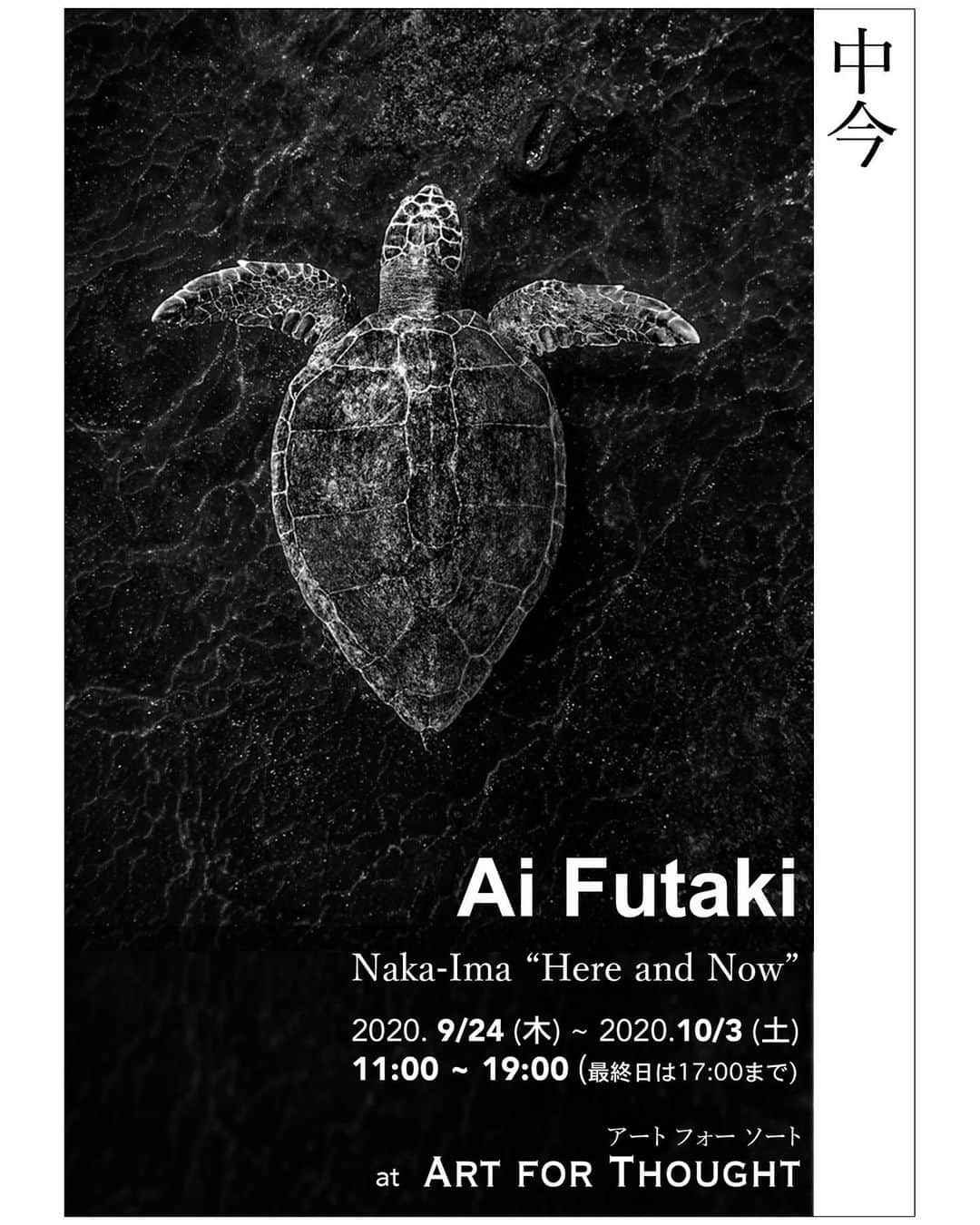 二木あいさんのインスタグラム写真 - (二木あいInstagram)「二木あい写真展  『 中今 Naka - Ima “Here and Now” 』﻿ ﻿ 2020年9月24日（木）～10月3日（土）﻿ 11:00 ~ 19:00 (最終日は17:00 まで）﻿ ART FOR THOUGHT / アート フォー ソートにて開催！ ﻿  今回は、自身が撮影者として表現。昨年スペインで開催された個展の日本初！開催です。﻿ ﻿ ーーーーーーーーーーーーーーーーーーーーー﻿ 同時開催：CHAMISOU PopUp Store﻿ 一期一会の人との和みを大切にする精神が込められたお茶。 ーーーーーーーーーーーーーーーーーーーーー ﻿ 二木あいの目を通した水中世界を、CHAMISOUのお茶と共に、ご堪能ください。﻿ ﻿ ﻿ できるだけ毎日ギャラリーには顔を出そうと思っています！皆さんにお会いできますこと楽しみにしています。﻿ ﻿ ————————————————————﻿ ART FOR THOUGHT / アート フォー ソート﻿ 東京都中央区銀座8-10-4 和孝銀座8丁目ビル1F﻿ 11:00 ~ 19:00 (最終日は17:00 まで）﻿ Tel/Fax：03-6228-5922﻿ ＊新型コロナウィルスの影響により、営業時間が変更となる場合があります。あらかじめ、ご了承ください。﻿ ・﻿ ・﻿ ・﻿ Ai Futaki Photo Exhibition 『 中今 Naka - Ima “Here and Now” 』﻿ ﻿ 2020.9.24 (Thu) - 10.3 (Sat) 11:00 ~ 19:00 (Last day ~17:00)﻿  at ART FOR THOUGHT   This time, Ai as a photographer sharing the underwater world through her eyes. This exhibition has shown first in Madrid last year, and it’ ll be the first in Japan.  ﻿ ーーーーーーーーーーーーーーーーーーーーー CHAMISOU Popup Store :  Organic tea blend with the spirit of “Once in a lifetime encounter”, harmony with people. ﻿ ーーーーーーーーーーーーーーーーーーーーー﻿  Please enjoy Ai’s underwater world together with CHAMISOU’s tea in middle of Tokyo! ﻿ ﻿ I will be almost everyday at the gallery! Hope to see you there!! ﻿ ﻿ ————————————————————﻿ ART FOR THOUGHT ﻿ Ginza 8-10-4 WAKO GINZA 8CYOME building 1F, Chuo City, Tokyo﻿ 11:00 ~ 19:00 (Last day ~17:00)﻿ Tel/Fax：03-6228-5922﻿ *In response to the Novel Coronavirus, opening hours might change. ﻿  #photoexhibition #写真展」9月15日 11時37分 - aifutaki