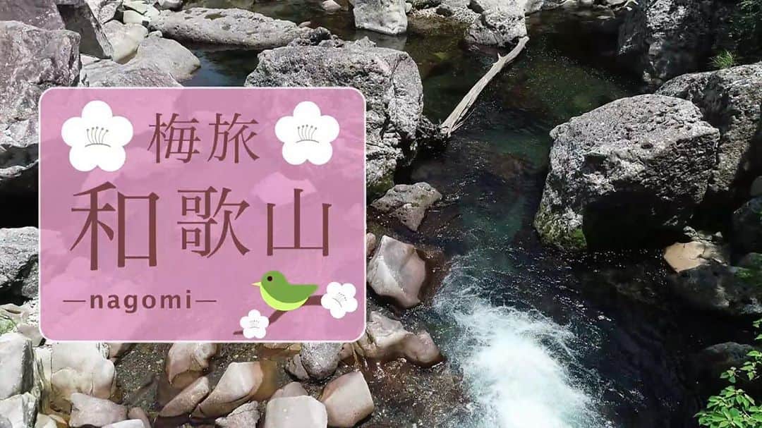 きいちゃんさんのインスタグラム写真 - (きいちゃんInstagram)「和歌山県関連の番組を紹介します。  全国無料放送のＢＳ－ＴＢＳで、和歌山県ＰＲ番組「梅旅-nagomi-和歌山」が９月の毎週水曜日に４週連続で放送されています。今回、「水の国、わかやま。」として、和歌山の豊かな自然や文化の魅力についてご紹介しています。  先週9月9日(水)の放送に続き、第3話が放送されますので、みなさん、ぜひご覧下さい。  ・放送媒体：ＢＳ－ＴＢＳ　（ＢＳ６チャンネル）  ・放送日時：令和２年９月16日（水）２２：５４～「水の国、わかやま。」の水を育む  ・ＢＳ－ＴＢＳ：https://www.bs-tbs.co.jp/  【今後の放送予定】  ４話目 ９／２３（水） ２２：５４～　「水の国、わかやま。」の水が創る  #和歌山県　#和歌山　#梅旅　#nagomi　#nagomi和歌山　#梅　#水の国　#水の国わかやま　#自然　#文化」9月15日 12時17分 - wakayamapref_pr