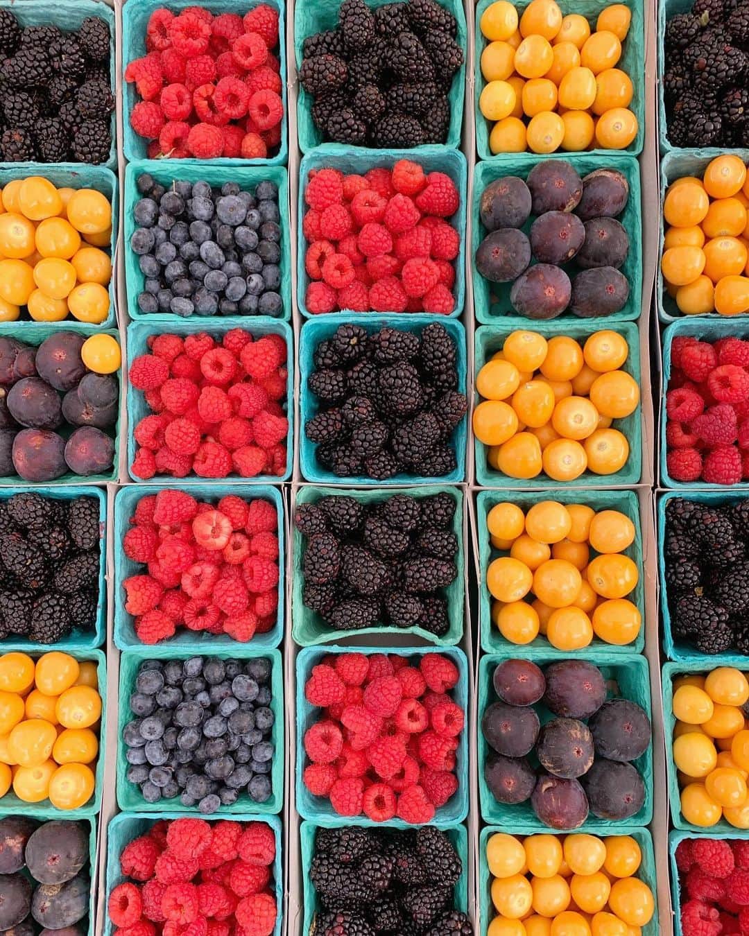 高木りなのインスタグラム：「🍇🍋🍅🥕🥒🍊🍓🥑🥦 Love all the colors at the farmers market❤️ 毎週新鮮なお野菜に出会えるファーマーズマーケット✨ . . . #farmersmarket #losangeles #california #cali #fresh #파머스마켓 #로스앤젤레스 #엘에이일상 #캘리포니아 #ファーマーズマーケット # #ロサンゼルス #ロサンゼルス生活 #カリフォルニア」