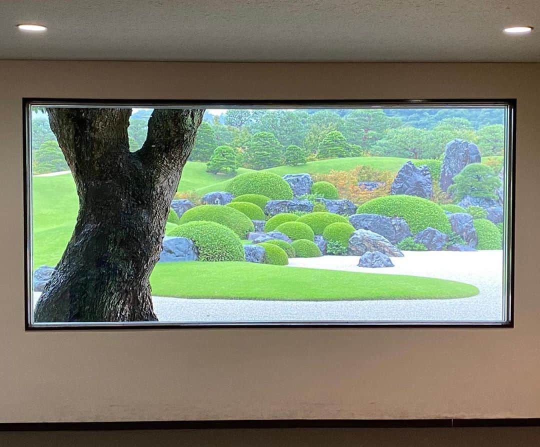 青山有紀さんのインスタグラム写真 - (青山有紀Instagram)「「庭園もまた一幅の絵画」 足立美術館。 雨に輝く石も美しかった✨」9月15日 14時12分 - yukiaoya