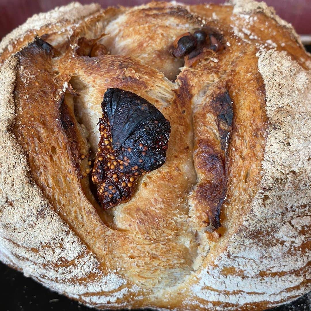 魔女菅原のグルメインスタ