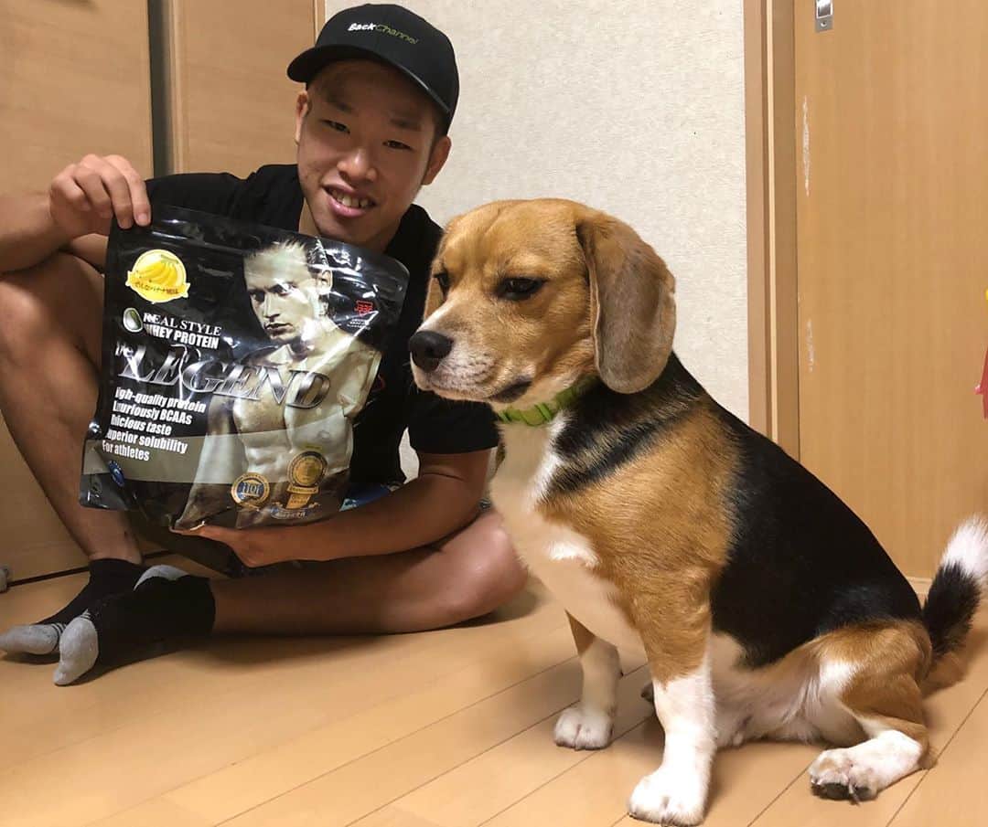 神龍誠のインスタグラム：「今日から新しいフレーバー🍌🍌 ビーレジェンドプロテイン様に提供して頂きました！ これ飲んでマッチョになります💪 #神龍誠 #ビーレジェンド #ディーンと一緒に」
