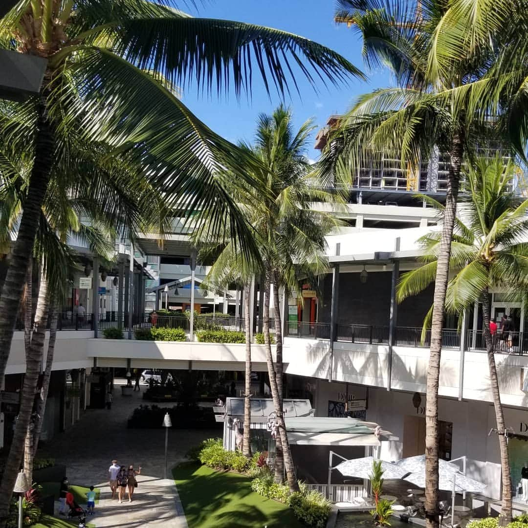 瀬川慶のインスタグラム：「Holo Holo right before second stay home order in Oahu @alamoanacenter オアフでまさかの二度目のロックダウン直前にアラモアナホロホロしてみた！  YouTube AlohaStyle  https://youtu.be/0wM5V6axMiM  #hawaii # aloha #oahu #honolulu #alamoanacenter # stayhomeorder #covid19hawaii #socialdistancing #youtube #alohastyle #holoholo #ハワイ　#アロハ　#アラモアナセンター　#ステイホーム　#コロナに負けるな　#ユーチューブ　#アロハスタイル　#バーチャル散歩　#長いけど許して　#ユーチューブ初心者　#歩いてみた　#つぶやいてみた　#試食してみた　#チャンネル登録お願いします　#コメントありがとうございます」