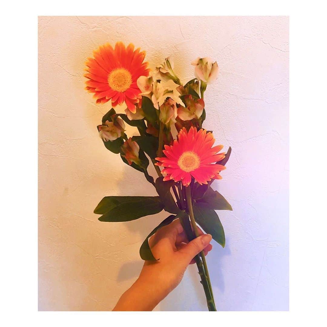 井上玲音さんのインスタグラム写真 - (井上玲音Instagram)「ガーベラ ･ お花屋さんで一目惚れ。 ･ 普段お花屋さんには行かないんだけど、気分で寄ってみた✌🏻 ･ お部屋に飾ったら、頑張ろうと思えました☺︎ ･ #flower #ガーベラ #パワー #juicejuice #井上玲音」9月15日 20時48分 - rei_inoue.official