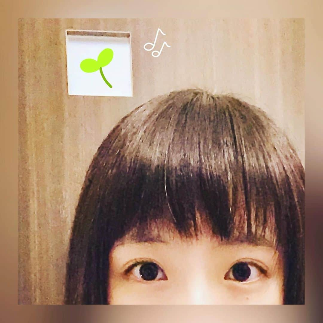 花田優里音さんのインスタグラム写真 - (花田優里音Instagram)「#演奏動画 🎹 久しぶりの投稿です☺︎ 今日、学校でピアノと声楽の試験があり、 高校に入って学校での初めての実技試験で 練習・焦り・現実逃避・放心・緊張…と なんか落ち着かない日々を過ごしていました。 練習室を借りて朝練したり友達と弾き合いしたり 歌の伴奏をしあったり、 刺激的で楽しい期間でもありました😄 そして 明日からしばらく、ある撮影に参加します。 スタッフさんみなさんの 数年間の集大成となる作品なので、 大事に心を込めて… 私にとっても大切な作品になるよう 演じていきたいと思います。 頑張る💪 . #髪の毛ボサボサやんか  #ピアノの端に置くと音割れるけど #手が迫ってくる感じね  #迷走中の時の練習動画  #ここ穏やかに2人寄り添ってちょっとワクワク可愛くて好き  #ピアノ #piano #lovepiano #playpiano  #classicalpiano #pianomusic  #クラシック  #インスタピアノ #instapiano  #インスタピアノ同好会 #ipdjp  #インスタピアノ同好会会員番号351番  #ショパン #chopin #バラード #バラード3番  #chopinballade #ballade3  #明日からも元気に頑張ろう」9月15日 20時52分 - yurine_hanada