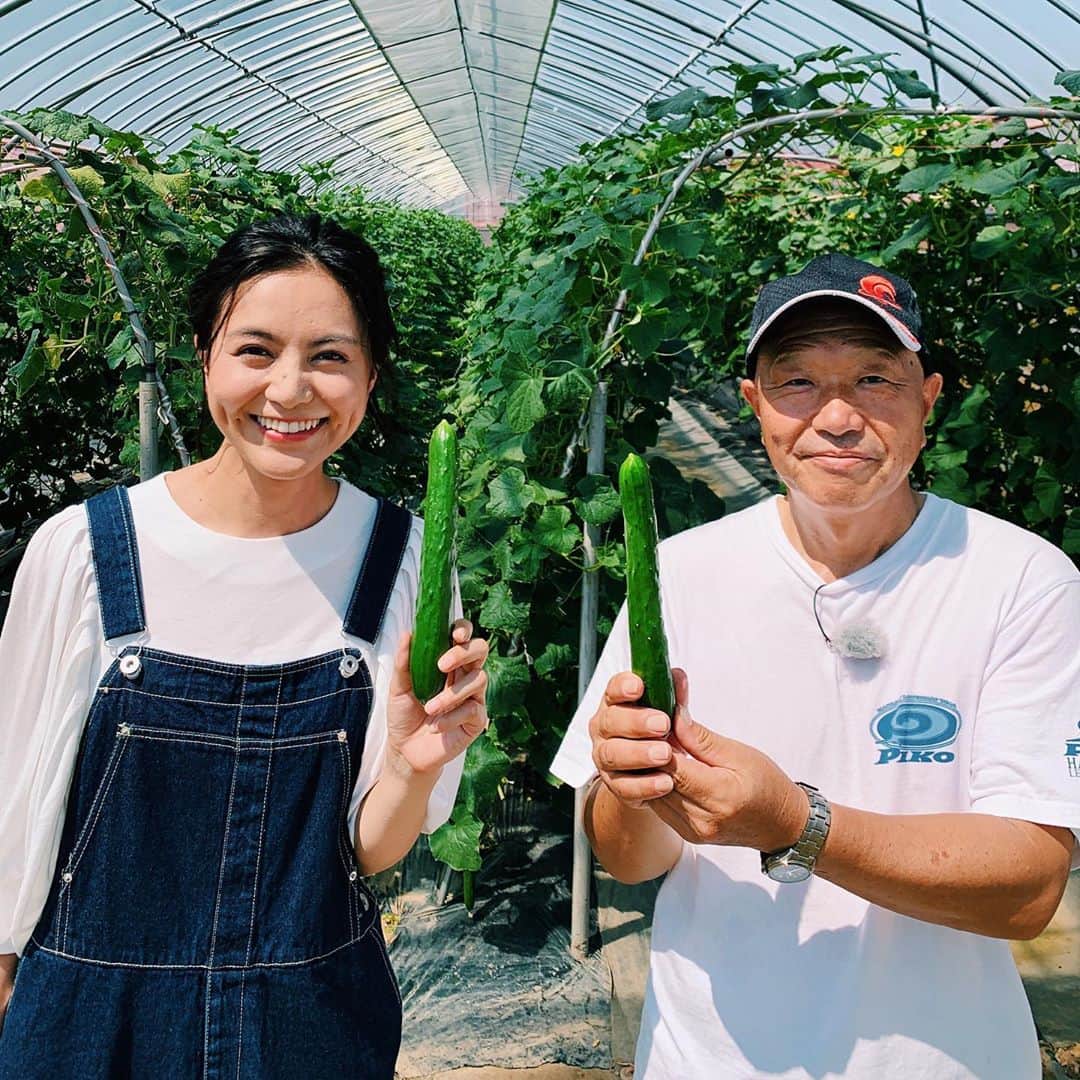 長沢裕のインスタグラム：「今年の夏はきゅうりで乗り切ったと言っても過言ではないほど、きゅうりを食べました！ 主に三五八漬けや味噌でポリポリと。 福島は夏秋きゅうりの生産量で日本一を誇ります。 という事で、桃に引き続き、今日は私の夏を支えてくれたきゅうりに感謝の意を込めて振り返り。 #三五八漬け#きゅうり#夏秋きゅうり日本一#須賀川市#伊達市#きゅうりビズ」