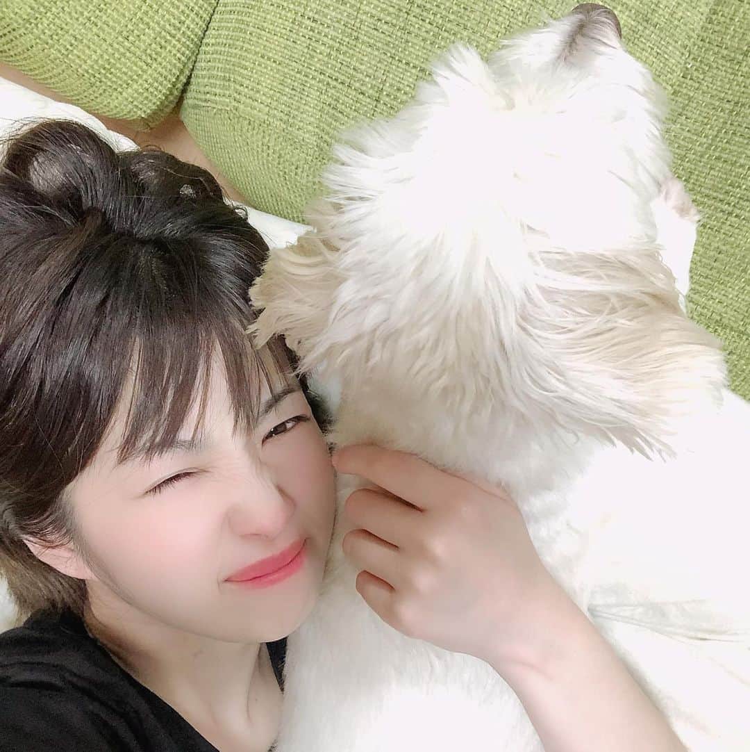 鮭山未菜美のインスタグラム：「実家にいる愛犬まるちゃん🐶💕  2枚目のいつも折りたたむ手が可愛い‎( ⸝⸝⸝•́‎ω•̀⸝⸝⸝)w  もう10才だけどいつまでも若々しいキュートな顔❤️ 長生きしてね૮₍´｡• ᵕ •｡`₎ა」