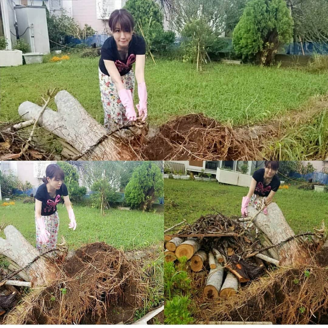 ようこさんのインスタグラム写真 - (ようこInstagram)「昨年の令和元年房総半島台風(台風15号)の時に飛ばされた屋根も剥がれた天井も割れたガラスもお庭も綺麗になりました🌸﻿ ﻿ 食料や飲み物を寄付してくださいまして本当に本当にありがとうございました。﻿ ﻿ #台風#台風15号#房総半島#令和元年房総半島台風#千葉県#館山#館山市#たてやま」9月15日 16時54分 - 0606yoko