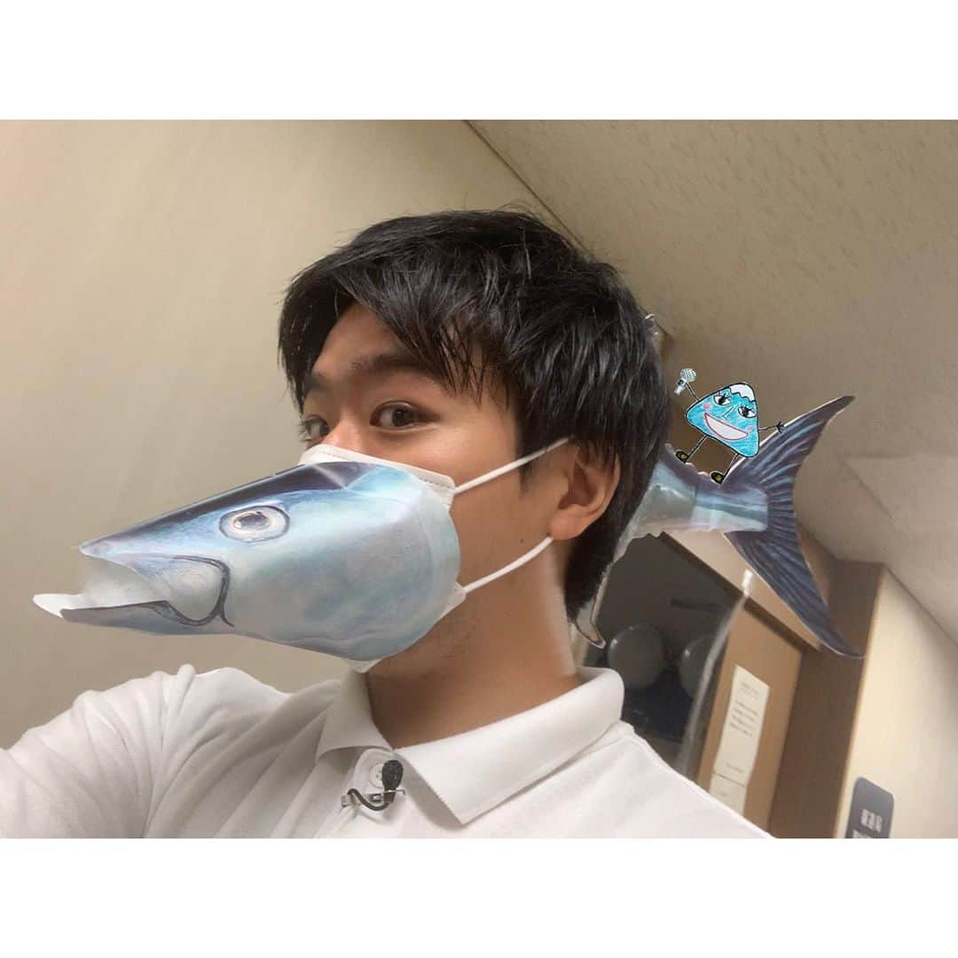 フジテレビアナウンサーのインスタグラム：「ゲームと音楽以外のおうち時間という究極の難題でしたが、そんな窮地に追い込まれた私を救った豆苗の成長っぷりを紹介しましょう。   #フジアナむすび #豆苗 #信じられない成長っぷり #とスピードでした #あと不思議なのは #太陽に向かって伸びるので #窓を目指して伸びる #なので斜めに伸びがち #豆苗は炒め物万歳 #あ料理の写真は撮ってないです #撮らない派です #知っている人は知っている #豆苗だけじゃ寂しいので #仕事で作ったマグロマスク #ええそうです関係ありません #実は後ろの胴体の方が #作るのもつけるのも難しい  さてバトンは同期のあこちゃんに渡します #よろしく歌姫  #フジテレビアナウンサー #藤井弘輝」