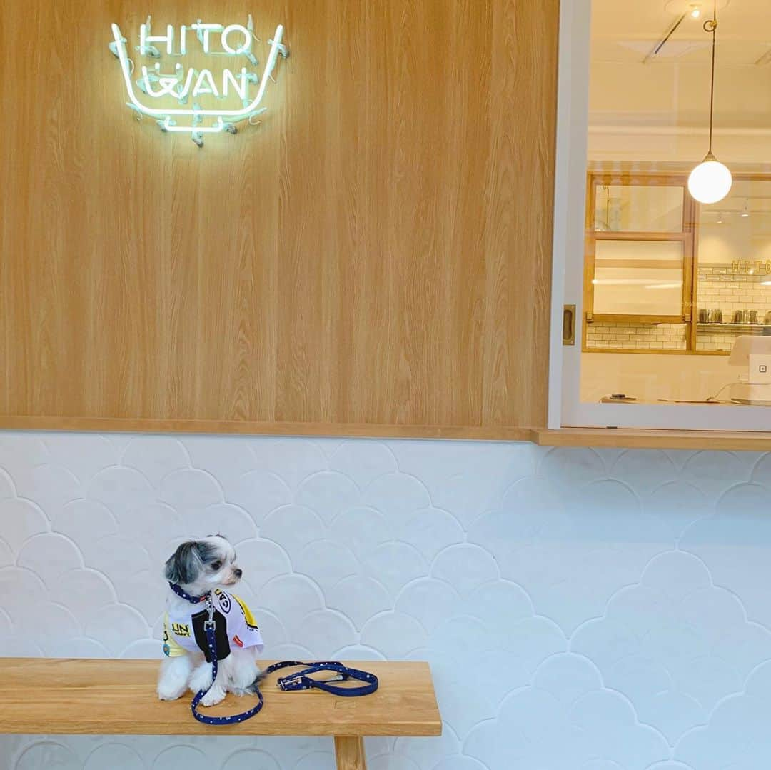 福野来夢のインスタグラム：「インスタで見て気になってたお店🐶 犬の手作りごはん屋さん【Hito wan】🍴 @hitowan_dog  . ぺろさんももう5歳だし皮膚トラブルとかもあるから、これからのことも考えてドライフードだけじゃなく身体にいいごはんをちゃんとあげたいなあと思っていた時に、インスタで見つけたお店！ このお店目的に久しぶりに代官山行ってきた❤️ 優しいオーナーさんが試食を出してくださって1番食いつきの良かった、鯖と南瓜のごはんをお買い上げ♪ 朝だけフードに混ぜてあげてるよ。 お魚好きのぺろさんは朝ごはんの準備の時は大興奮です笑 . #ヒトワン #hitowan #犬の手作りごはん屋さん #wancube #代官山」