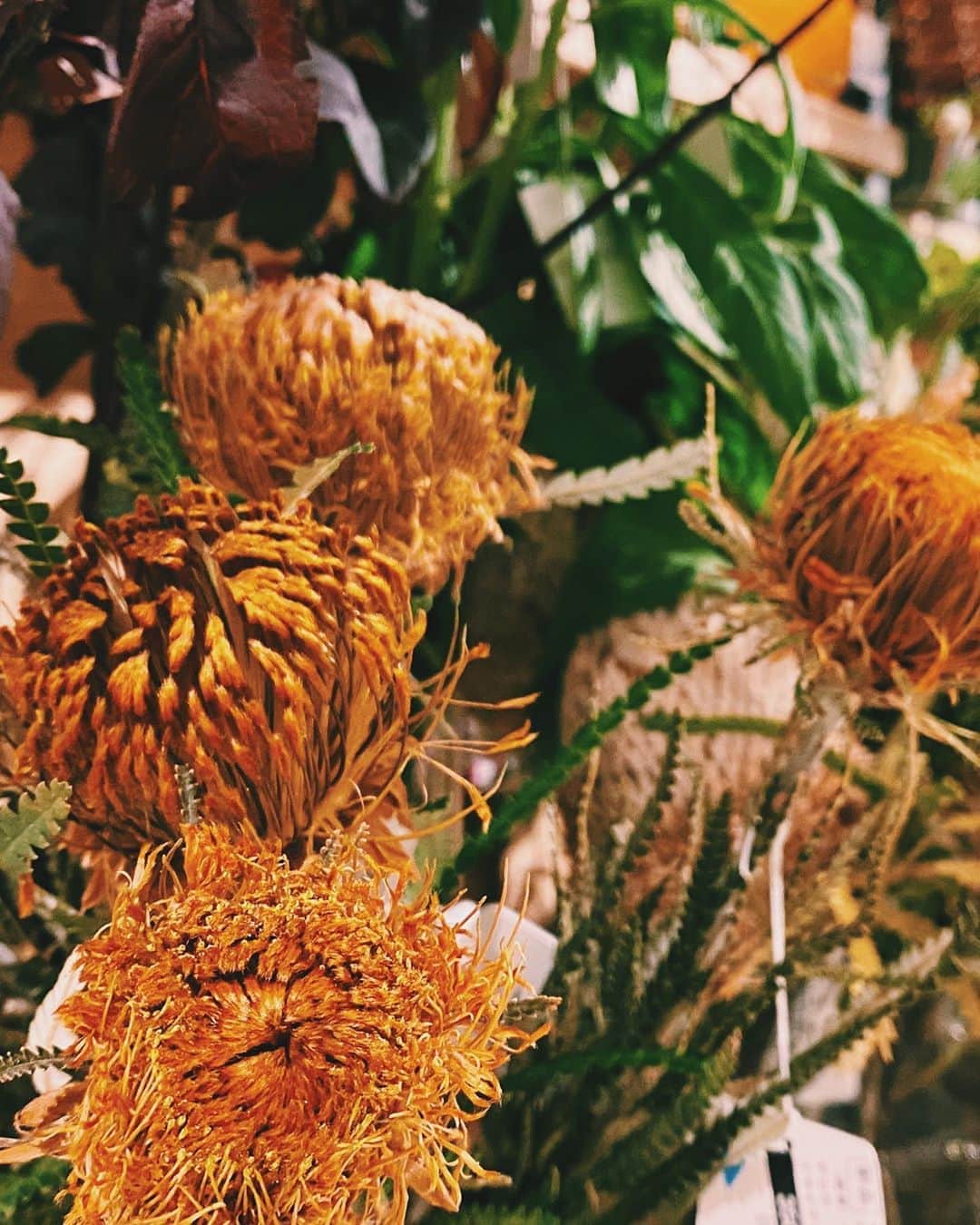 柏の葉 T-SITEのグルメインスタ