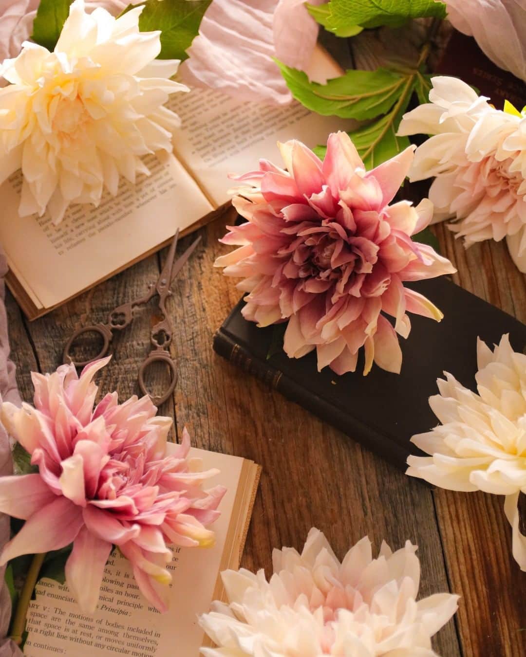 東京堂アーティフィシャルフラワーMAGIQのインスタグラム：「・ 【アーティフィシャルで季節を迎える】 ～Autumn Color Flower (オータムカラーフラワー）～ ・ FW94646-11　シャルモントダリア FW94646-37　シャルモントダリア FW94646-46　シャルモントダリア  ・ ・ 【マイ リトル オータム　キャンペーン】開催中！ 期間:2020年9月1日(火)〜9月22(火) 入賞→ ６名 発表→ 9月28日(月) 、29日（火） ・ ●テーマ 【あなたのお気に入りの秋】の写真を投稿してください。但し、10月にハロウィンキャンペーン開催予定につき今回はハロウィン画像は除きます、ご注意下さい。 ・ 応募は簡単！ 以下参加方法にて、どなたでも参加OKです。 ◎参加方法 ① @magiq.jp をフォロー ② #magiqオータム2020 をタグ付けて投稿して下さい！ ・ 皆さまのご参加をお待ちしております！！ ・ ・ #TOKYODO #MAGIQ #MAGIQのある暮らし #東京堂 #アーティフィシャルフラワー #アーティフィシャル #アートフラワー #造花 #花のある暮らし #花のある生活  #花好きな人と繋がりたい #フラワーデザイン #フラワーアレンジメント #フラワーアレンジ #アレンジメント #花を飾る  #インテリア #インテリアフラワー #フェイクフラワー  #artificial #artificialflower #flowerofinstagram #flowersoninstagram #autumnflowers #花藝##꽃스타그램 #조화」