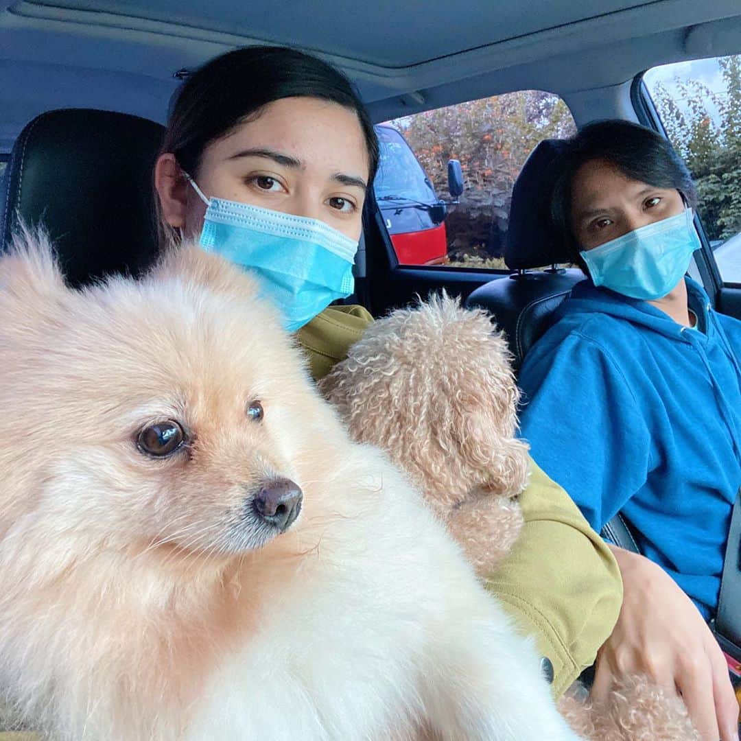 ローレン・ヤングのインスタグラム：「Vet day!!!! Melo looks freaked out and Yogi is camera shy but I’m so happy that their results are all good and they were able to get all their booster shots for the year. Thanks for the smooth and fast process, @petsocietyccvc 💖 and thanks for bringing us to the vet today, bb @jumpingchicken ❤️ Find a man that will take care of you and your doggos too 😭😭😭💕」