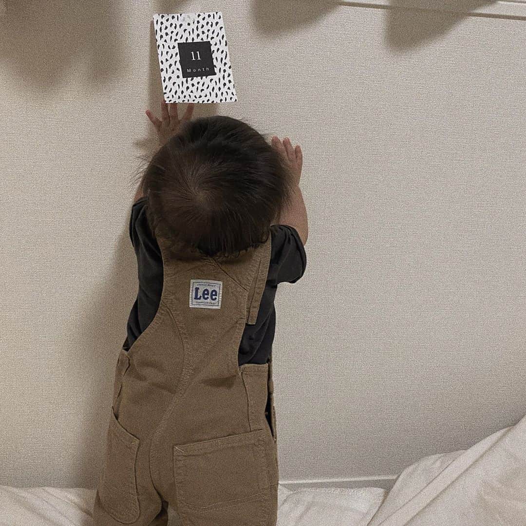 樽見麻緒のインスタグラム