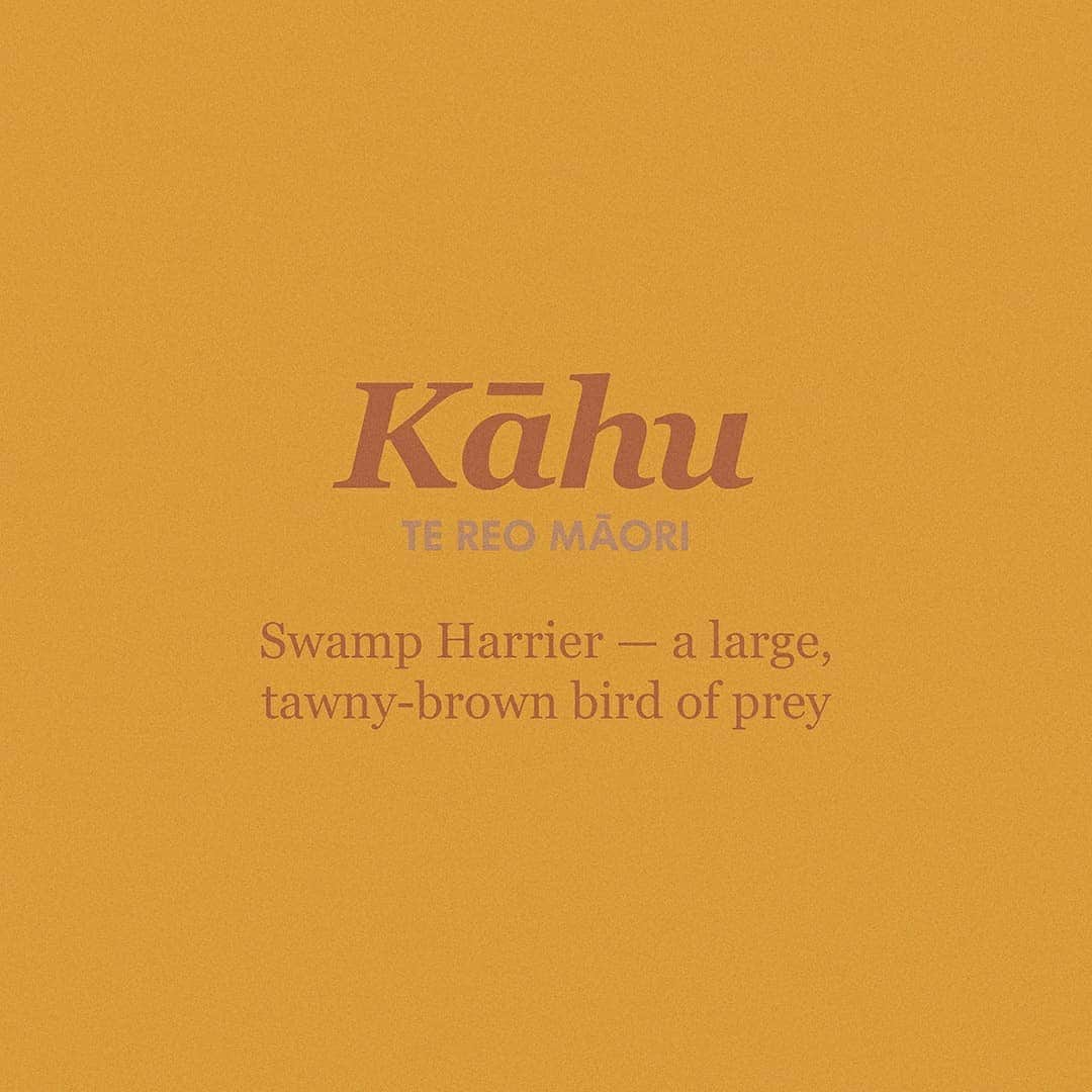マックパックさんのインスタグラム写真 - (マックパックInstagram)「Did you know, our classic day pack the Kāhu is named after the Swamp Harrier — a large, tawny-brown bird of prey, common across Australasia. Sometimes known as the Australasian Harrier. #TeWikioteReoMāori #MāoriLanguageWeek」9月15日 18時27分 - macpac