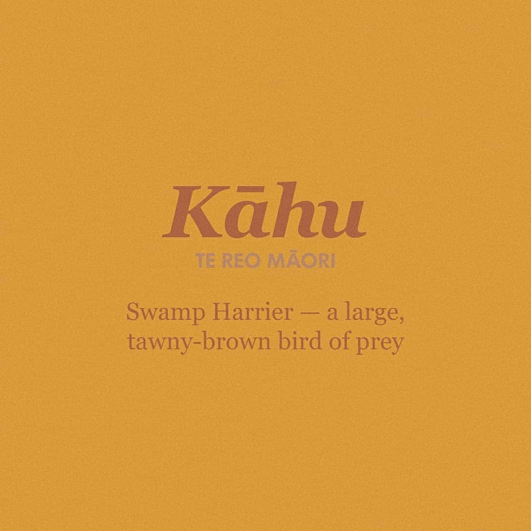 のインスタグラム：「Did you know, our classic day pack the Kāhu is named after the Swamp Harrier — a large, tawny-brown bird of prey, common across Australasia. Sometimes known as the Australasian Harrier. #TeWikioteReoMāori #MāoriLanguageWeek」
