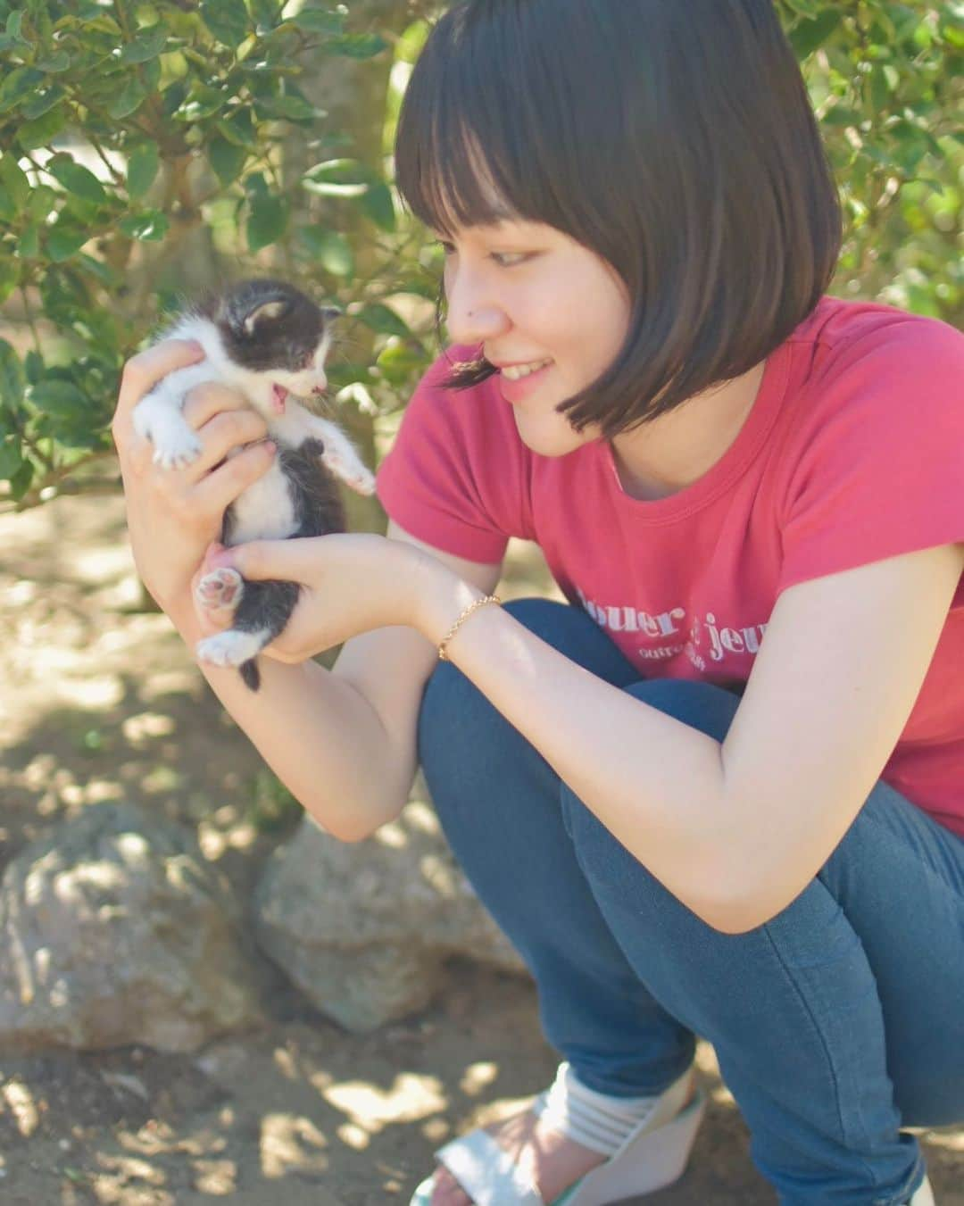 倉持乃英瑠のインスタグラム：「祖母のお家に、 子猫が生まれました🙈💕  子猫ちゃんにメロメロです🥰 可愛すぎる〜💓💓  #ミス慶應理工 #ミスコン  #矢上祭 #ポートレート  #ねこのいる生活」