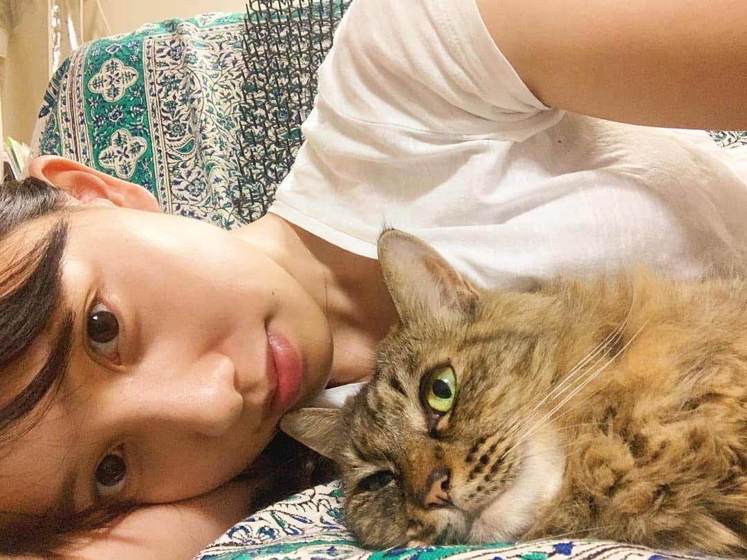 奥村真友里さんのインスタグラム写真 - (奥村真友里Instagram)「ミラさん🐈 #猫#ねこ#cat#🐈」9月15日 18時48分 - mayuri_okumura