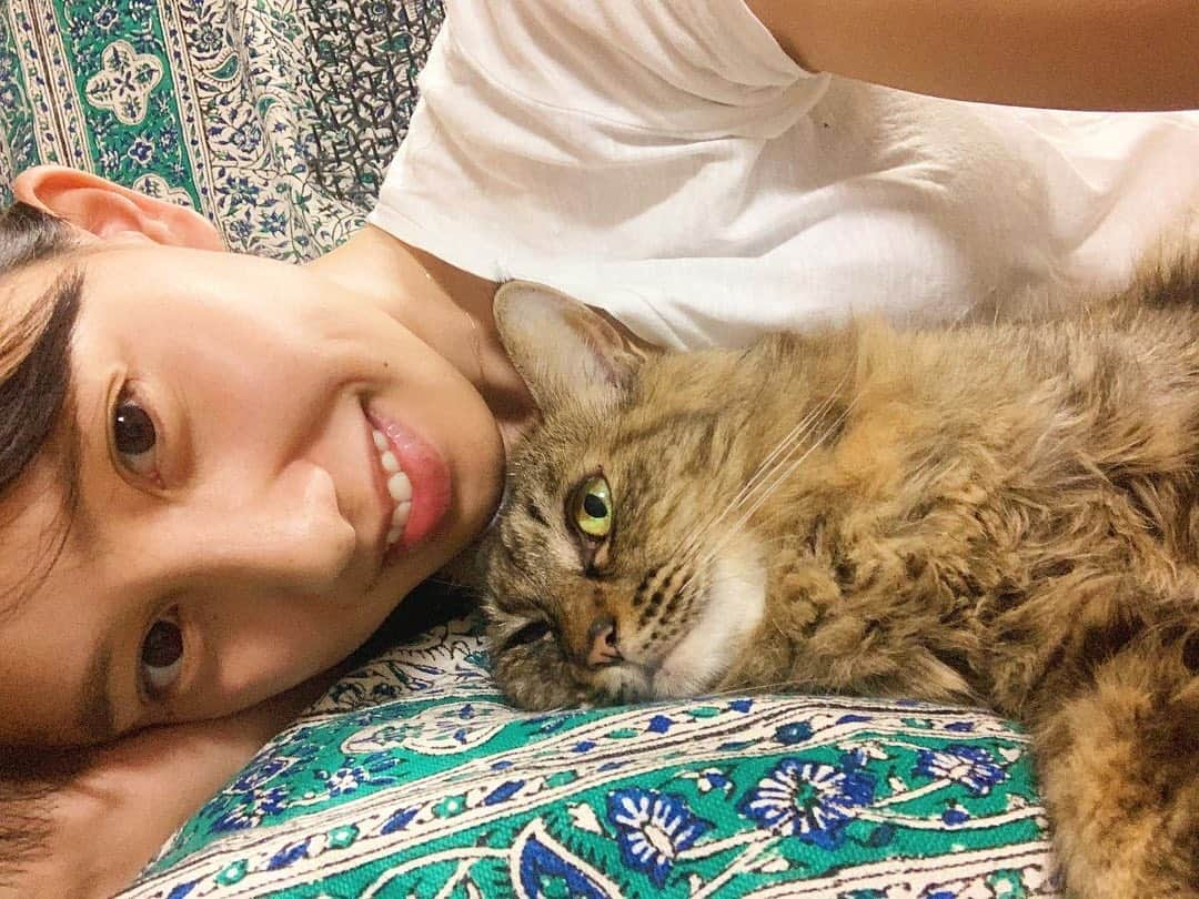 奥村真友里さんのインスタグラム写真 - (奥村真友里Instagram)「ミラさん🐈 #猫#ねこ#cat#🐈」9月15日 18時48分 - mayuri_okumura