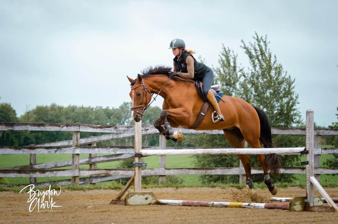 アルベルトファッシャーニのインスタグラム：「Good jumping and good dressage are not as different as a lot of people think. Good balance, energy and harmony makes good horses regardless of discipline. ⁠ @allieschmidtdressage We love your words and style! ⁠ 👏👏👏⁠ ⁠ #crosstraining #jumper #dressage #canter #balance #horse #horses ⁠」