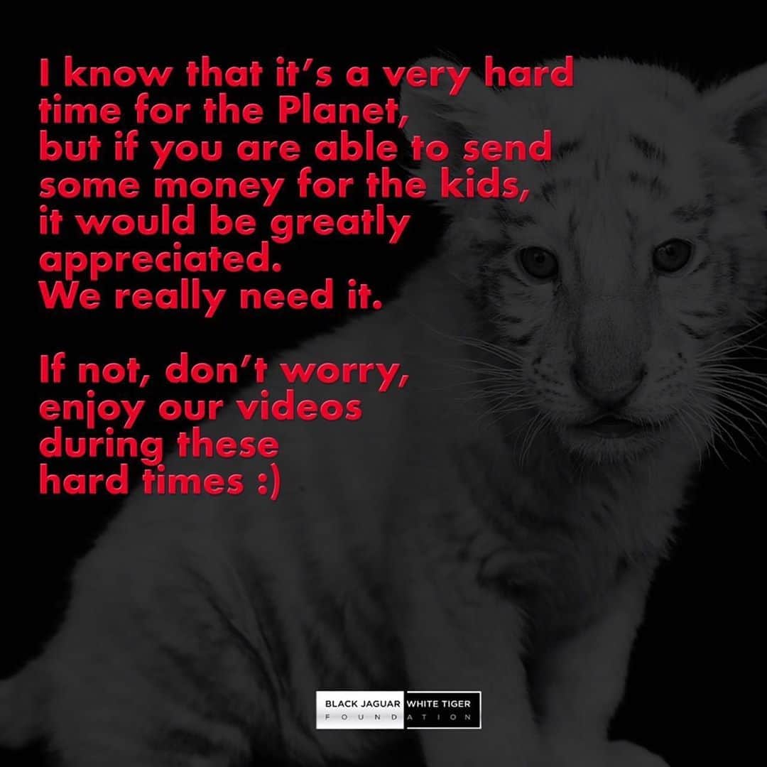 Black Jaguar-White Tiger さんのインスタグラム写真 - (Black Jaguar-White Tiger Instagram)「Your donation saves lives. Active link to donate on our bio or at www.BlackJaguarWhiteTiger.org/Donate」9月16日 5時20分 - blackjaguarwhitetiger