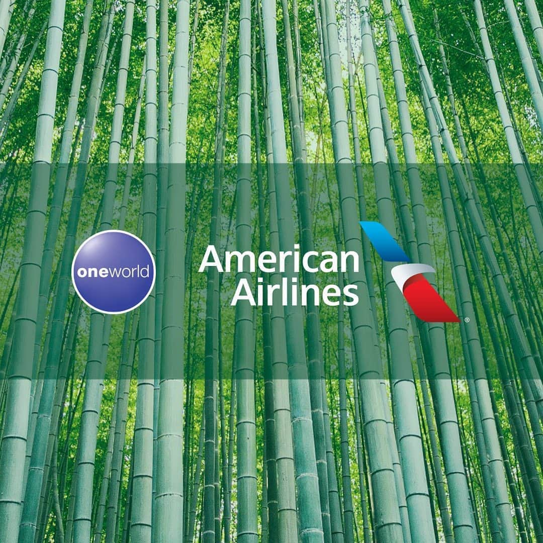 アメリカン航空のインスタグラム：「Carbon neutral by 2050 – challenge accepted. Together with our @oneworld Alliance partners, we’re committing to a more #sustainable future for our industry.」