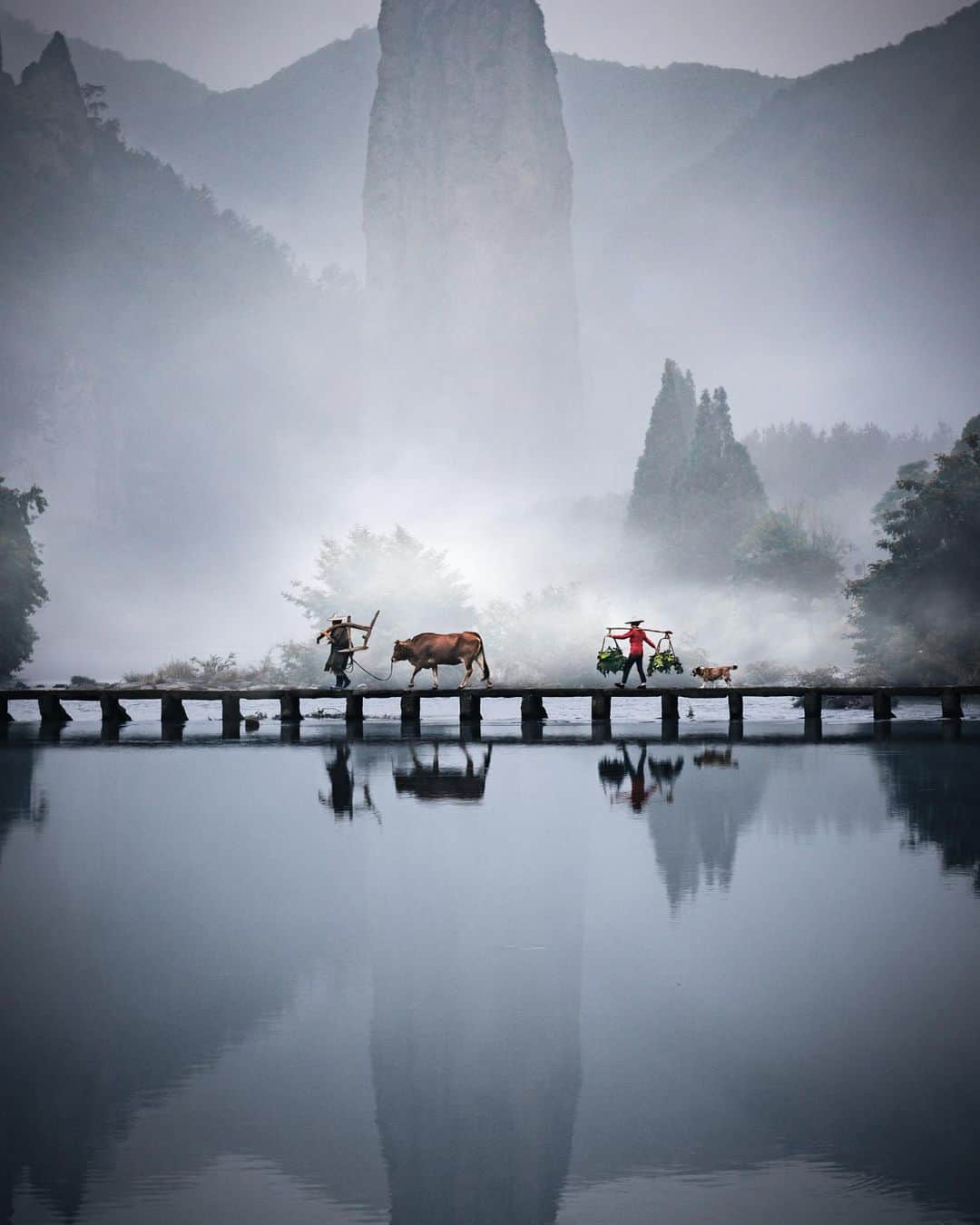 R̸K̸のインスタグラム：「I’m getting some great vibes from China.  There are still many places to take pictures in China. #hellofrom China ・ ・ ・ ・ #bestvacations #beautifuldestinations #earthfocus #earthoffcial #earthpix #thegreatplanet #discoverearth  #roamtheplanet #ourplanetdaily #lifeofadventure #nature #tentree #livingonearth #theweekoninstagram  #theglobewandere #stayandwander #IamATraveler  #TLPics #visit #voyaged #sonyalpha #bealpha #aroundtheworldpix #moodygrams #artofvisuals #travellingthroughtheworld  #complexphotos #lonelyplanet#luxuryworldtraveler  @sonyalpha @hypebeast @highsnobiety @lightroom @soul.planet @earthfever @9gag @500px @paradise」