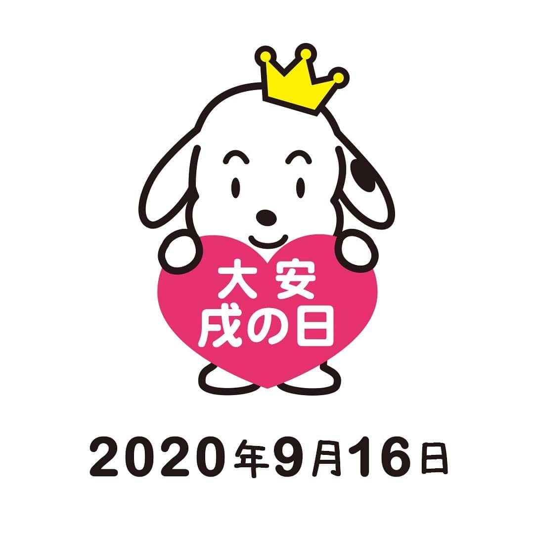 犬印本舗【公式】さんのインスタグラム写真 - (犬印本舗【公式】Instagram)「*﻿ 9月16日は大安戌の日♡﻿ 元気な赤ちゃんが生まれますように﻿ ﻿ #犬印本舗 #犬印 #妊婦帯 #犬印妊婦帯 #戌の日 #安産 #安産祈願 #お宮参り #出産準備 #初マタさんと繋がりたい #マタニティインナー #マタニティ #初マタ  #プレママ #妊娠 #妊娠5ヵ月 #産前 #産後 #初めての赤ちゃん #妊娠初期 #妊娠中期 #初めての妊娠 #産後骨盤ケア #新米ママ #男の子のママ #女の子のママ #出産祝い #マタニティギフト」9月15日 21時15分 - inujirushi.official