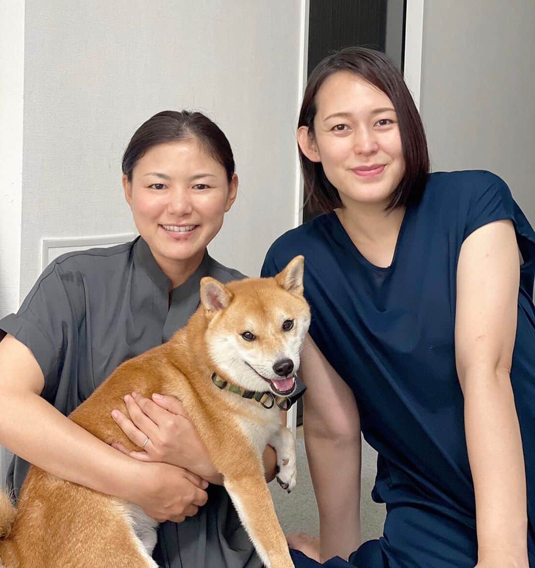 横峯さくらのインスタグラム：「沢山のお祝いのメッセージありがとうございました✨皆さんからのメッセージを読んですごく幸せな気持ちになりました😊 これからはゴルフはできる範囲になってしまうので、インスタでは普段の生活を載せられたらと思います🍀  先日、大山加奈さん @kanaoyama0619 のお家に遊びに行かせてもらいました✨豆柴のだいず君が可愛すぎてメロメロでした😍  加奈さんといっぱいお喋りして楽しい時間はあっという間に過ぎてしまいました☺️ また会えるのが楽しみです🍀  #大山加奈 #バレーボール #豆柴 #しばいぬ #いぬ #犬 #犬好き #女子ゴルフ #プロゴルファー #ゴルフ #犬のいる生活」