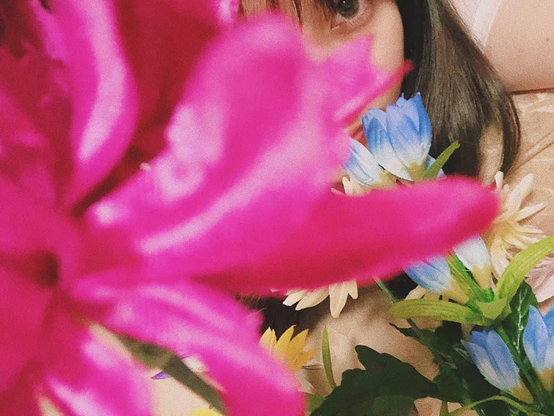 川添りなさんのインスタグラム写真 - (川添りなInstagram)「🌷🌸🌺🌻お花🌷🌸🌺🌻 #写真 #本物じゃないよ  #花 #ピンク #picture #flower #pink #instalike #instagram  #instagood #instapic  #instalove #instaphoto  #inspo #insta」9月15日 22時21分 - zorina_522