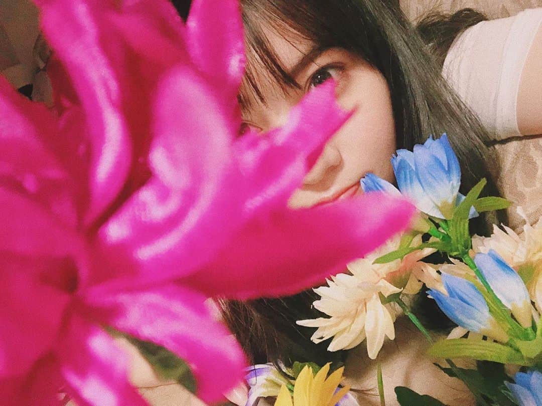 のインスタグラム：「🌷🌸🌺🌻お花🌷🌸🌺🌻 #写真 #本物じゃないよ  #花 #ピンク #picture #flower #pink #instalike #instagram  #instagood #instapic  #instalove #instaphoto  #inspo #insta」
