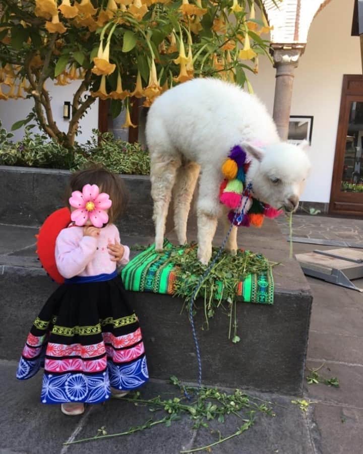 カーラ・ソウザのインスタグラム：「Estoy tan orgullosa de mi herencia Latina, y es un honor compartirlo con mi hija. El mes de la Herencia Hispana se celebra desde el 15 de septiembre hasta el 15 de octubre de cada año. Aquí están unas sugerencias de cómo honrar y celebrar sin importar si eres Latine o no:  🌺Aprender sobre la historia de la gente latine y sus contribuciones a la sociedad y el mundo 🌺Cuestionar tus presunciones de la gente Latine 🌺Encontrar alternativos adueñados por Latines de productos que compras regularmente 🌺Aprender de y celebrar el día de independencia Mexicano (el 16 de septiembre) ¿Dónde está mi gente?! ¡Deja tu bandera en los comentarios! 🇲🇽  •  So proud of my Latina heritage and so honored to share it with my daughter. (Here we are in Peru 🇵🇪!) 💖 Latine Heritage Month is celebrated form September 15-October 15 every year. Here are some things you can do to honor and celebrate, even if you're not Latine:⁠ ⁠ 🌺 Donate to Latine-led organizations like @mujerxrising⁠, @mifamiliavota, and @unitedwedream 🌺 Read a book by a Latine author⁠ 🌺 Learn about the history of Latine people and their bold and powerful contributions to society and the world⁠ 🌺 Question your presumptions about Latine people⁠ 🌺 Find Latine-owned alternatives for a few products you purchase regularly⁠ 🌺 Learn about and celebrate Mexican Independence Day (September 16)⁠ ⁠ Where are my people at?! Drop your flag in the comments! #LatineHeritageMonth #HispanicHeritageMonth #ProudLatina」