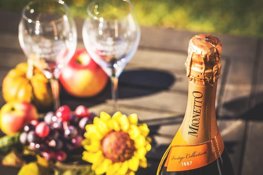 Mionetto Prosecco ČRさんのインスタグラム写真 - (Mionetto Prosecco ČRInstagram)「Podzim a prosecco se k sobě skvělé hodí 😍🥂 #prosecco #mionetto #proseccomionetto #podzim #autumn #loveprosecco #mionettocz」9月15日 23時04分 - mionetto_cz