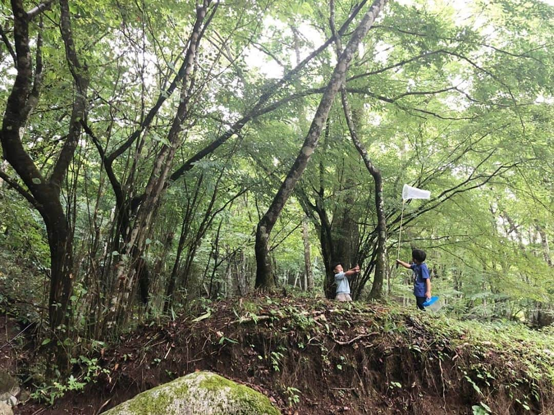 諸岡なほ子さんのインスタグラム写真 - (諸岡なほ子Instagram)「先週末は、道志の森でミヤマクワガタをゲットしたリアルあつ森さんたち。  私は、#DOD のエアマット、#sotonenosasoi で初めてキャンプで真っ当な睡眠がとれた。  #道志みち #道志川 #山伏オートキャンプ場 #リアルあつ森 #道志村」9月15日 23時46分 - morookanahoko