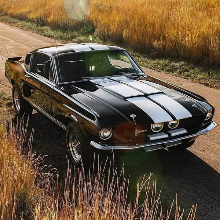 Classics Dailyのインスタグラム