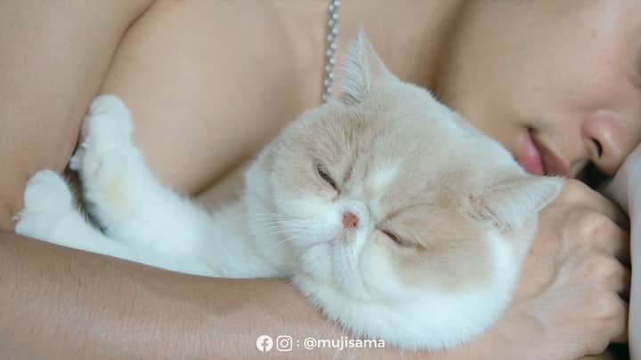むじさまのインスタグラム