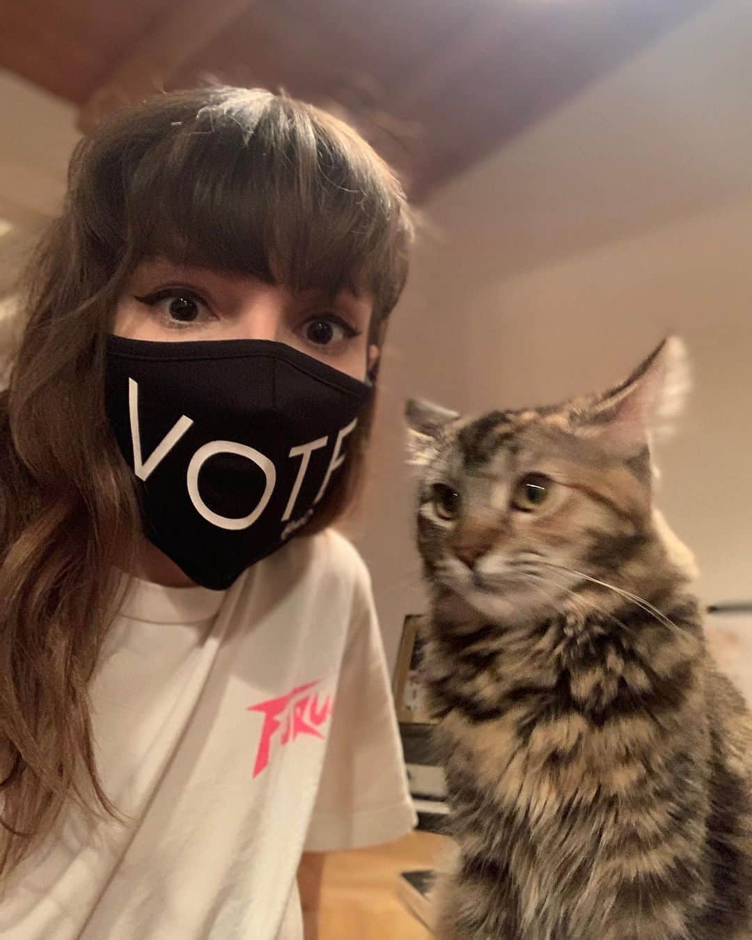 CHVRCHESさんのインスタグラム写真 - (CHVRCHESInstagram)「Cats hate taking photos but they like it when you vote (I assume). If you’re in the US and still need to register or want to check your information, head to @headcountorg 🖤」9月16日 0時19分 - chvrches